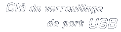 Clé de verrouillage de port USB
